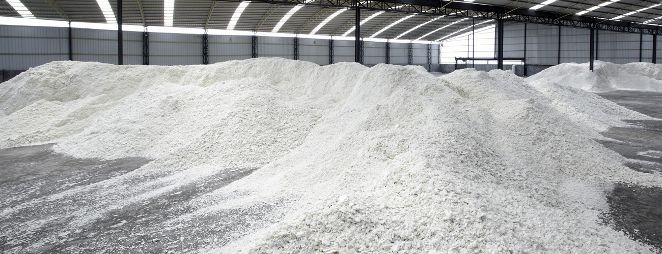 Paper Pulp on industrial facilities
